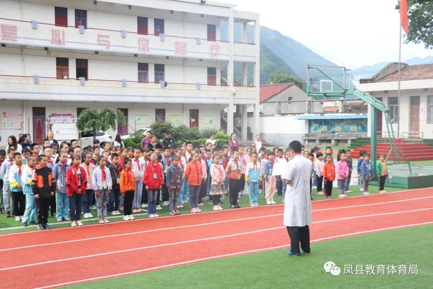 凤县小学最新动态报道