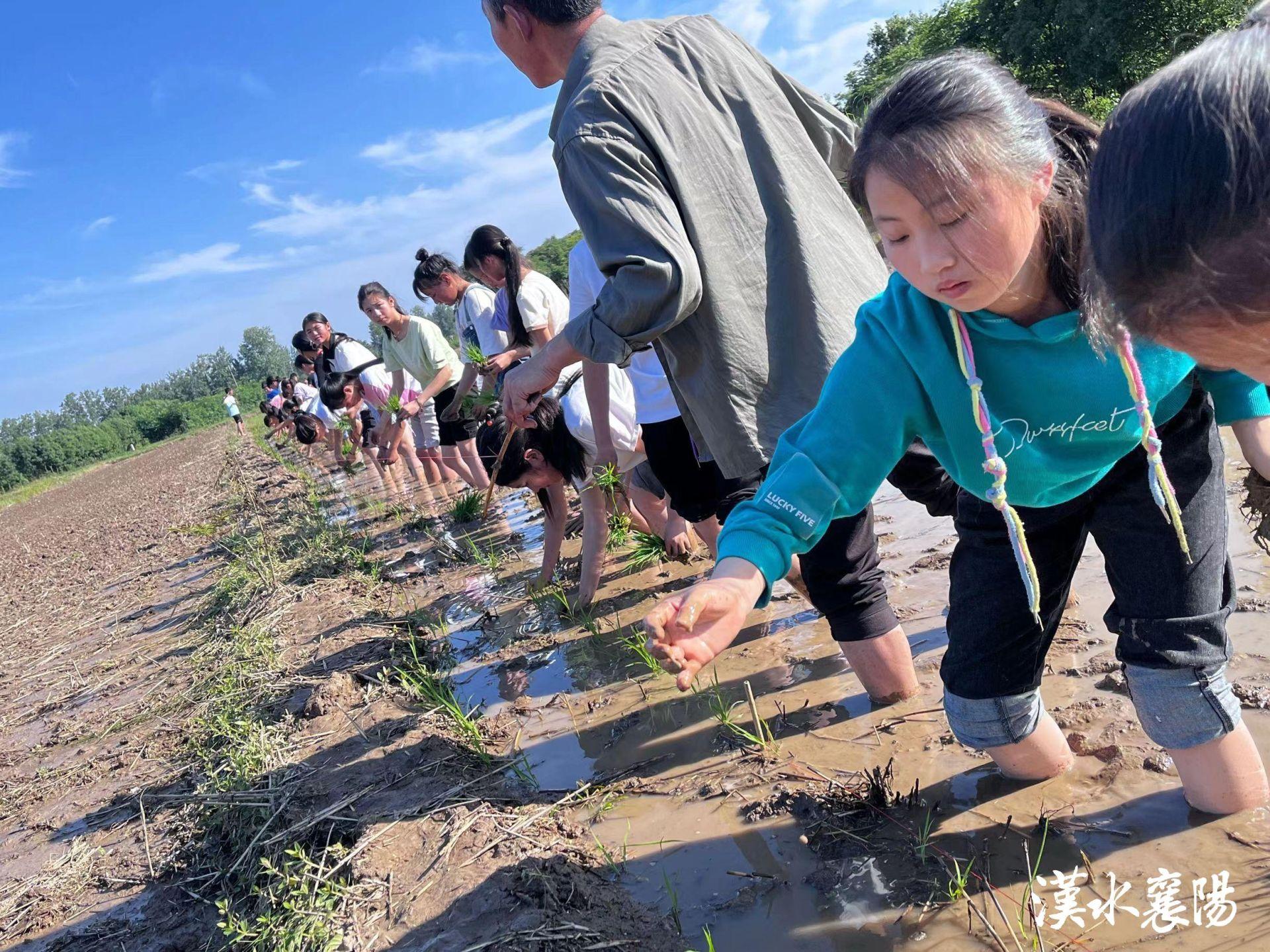 老河口市小学领导概览更新