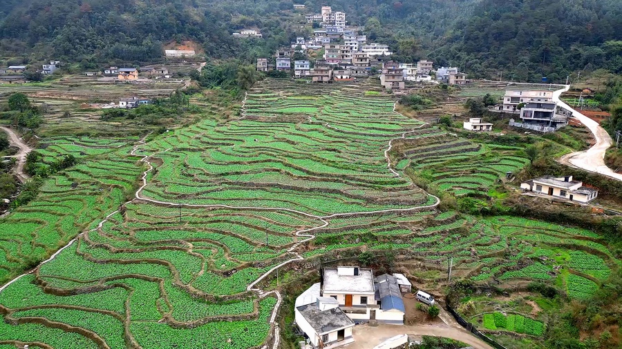 江洲瑶族乡天气预报更新