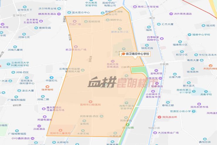 南市区小学领导最新概览