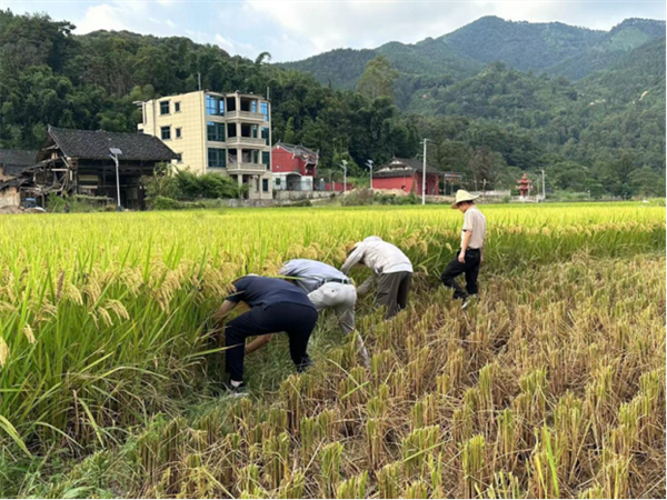 新罗区审计局展现新面貌，开启新征程，最新新闻一览