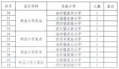 卧龙区小学最新招聘概览