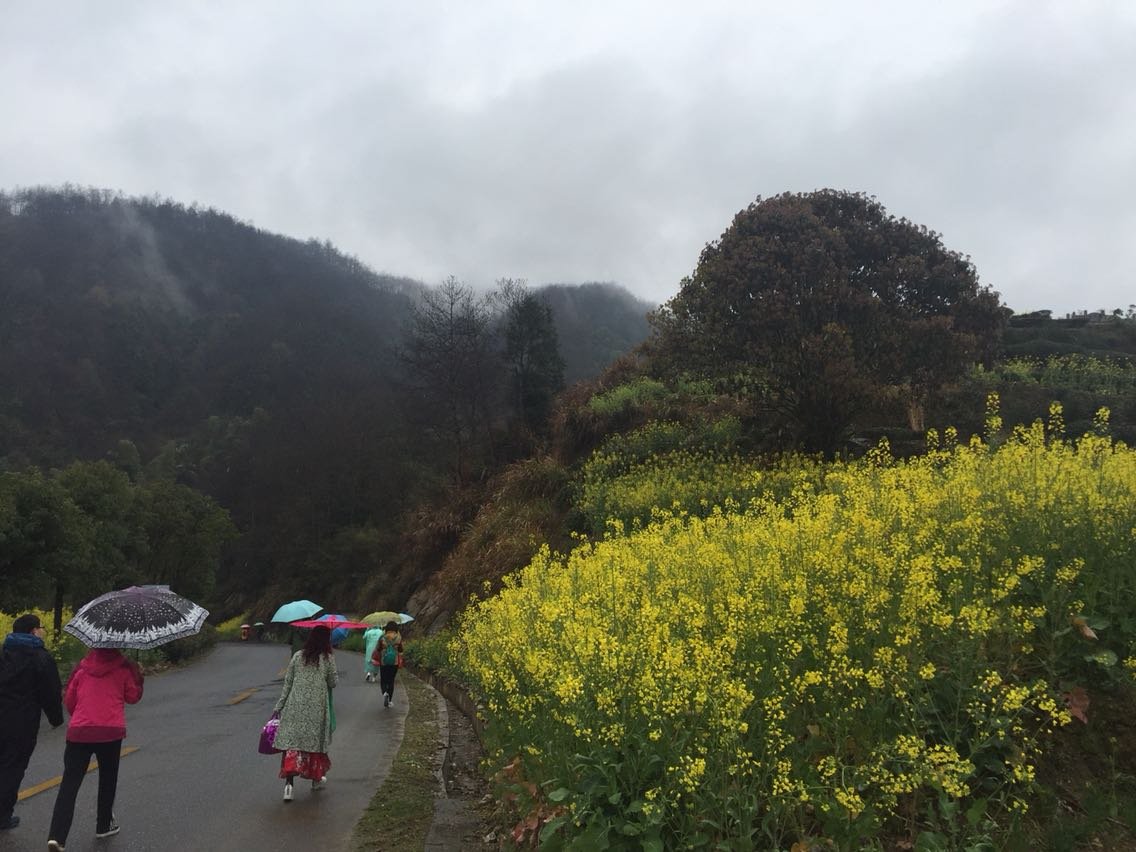 黄渡乡天气预报更新通知