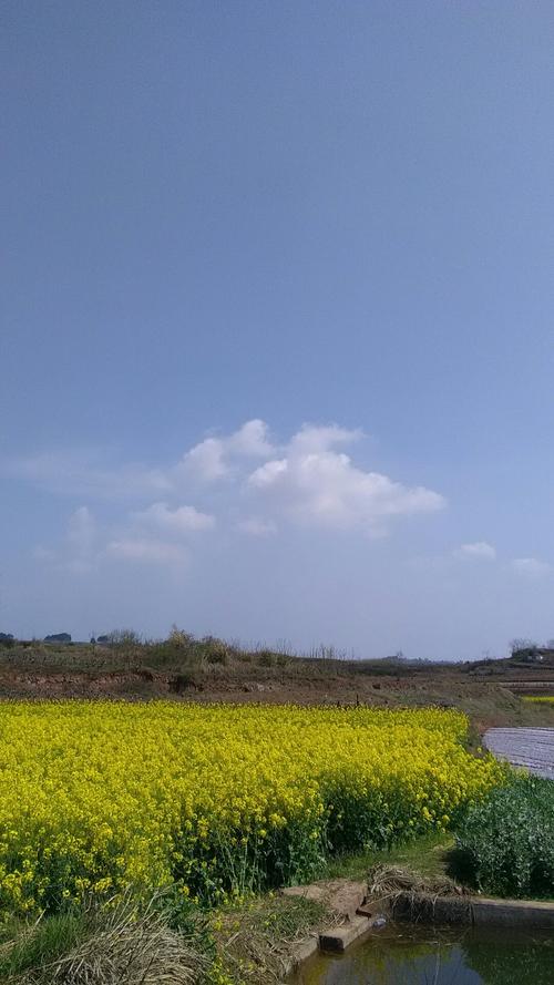 湖坪乡未来一周天气预报与日常生活建议