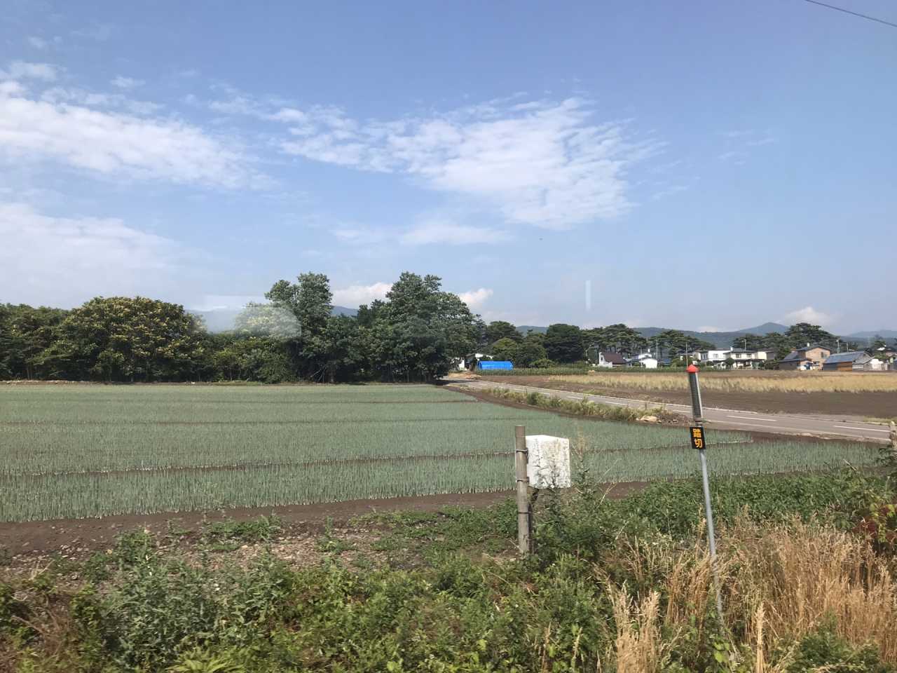 高田农场最新天气预报概览