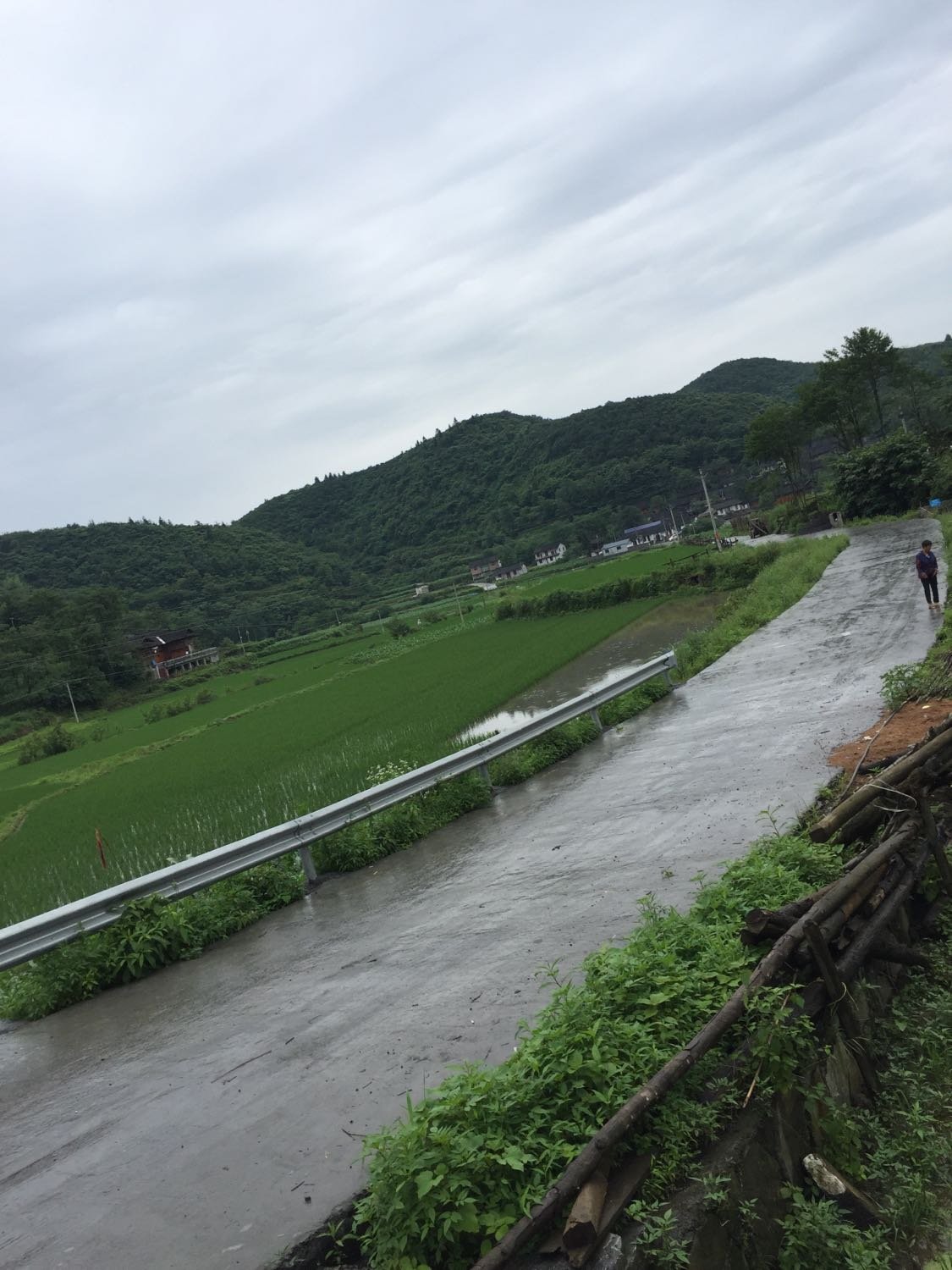 止马村最新天气预报