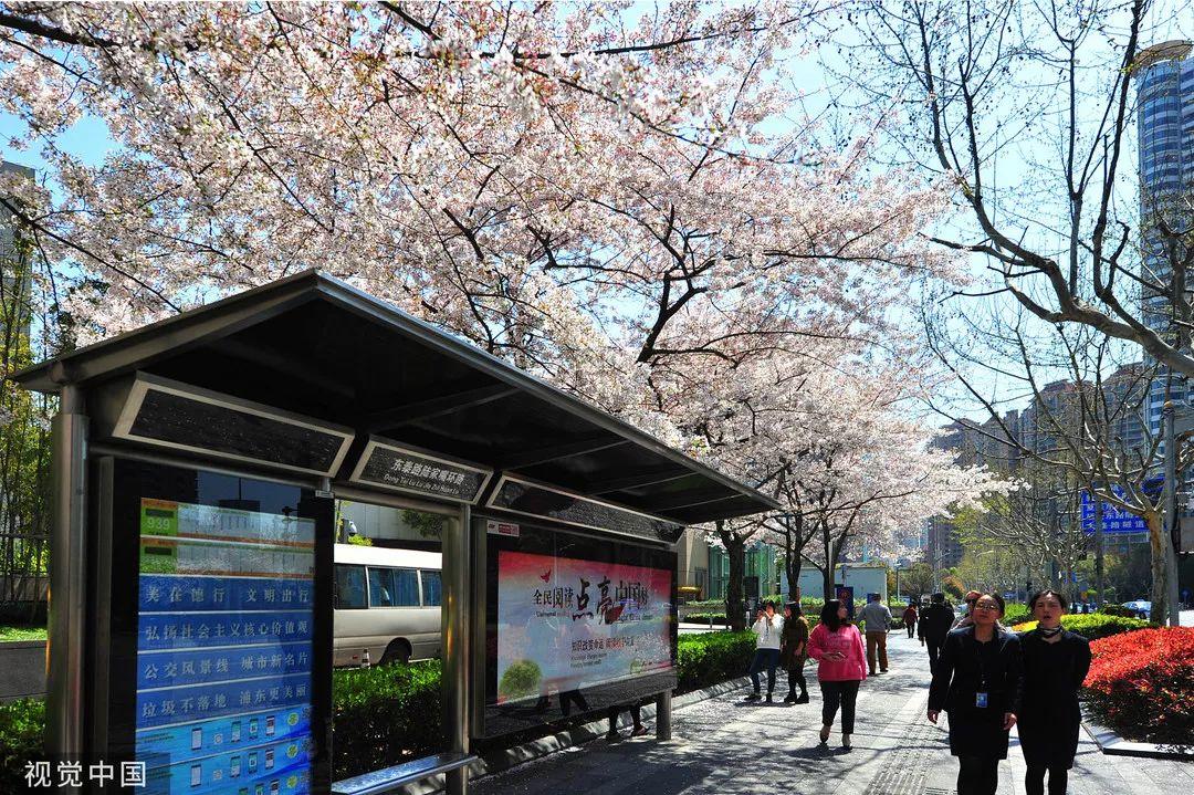 浦西街道最新天气预报