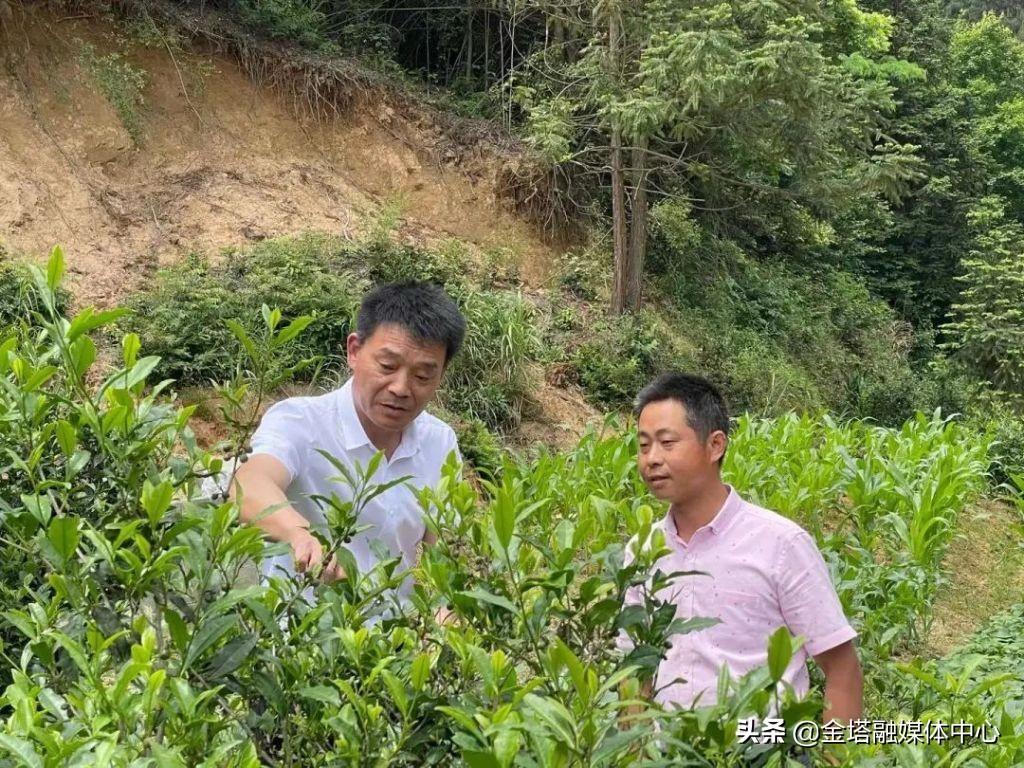 洪河村委会天气预报更新通知