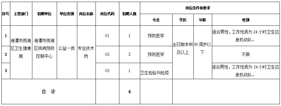 岳塘区人民政府办公室最新招聘信息概览