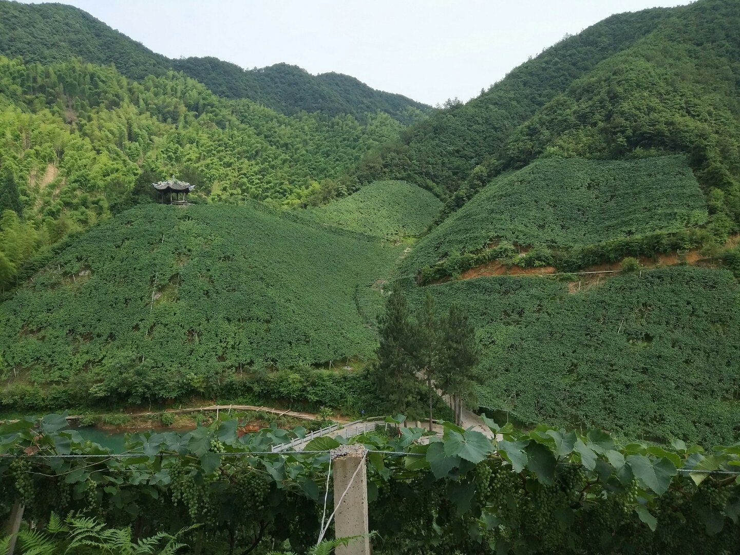 应店街镇最新天气预报