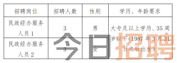 湖州市国家税务局最新招聘公告详解