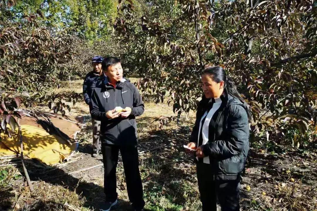 阿力得尔苏木乡天气预报更新通知