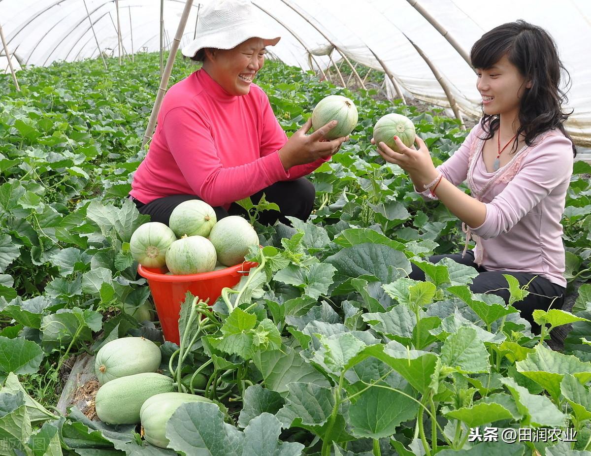 荆州市市社会科学院最新项目研究，探索与发展