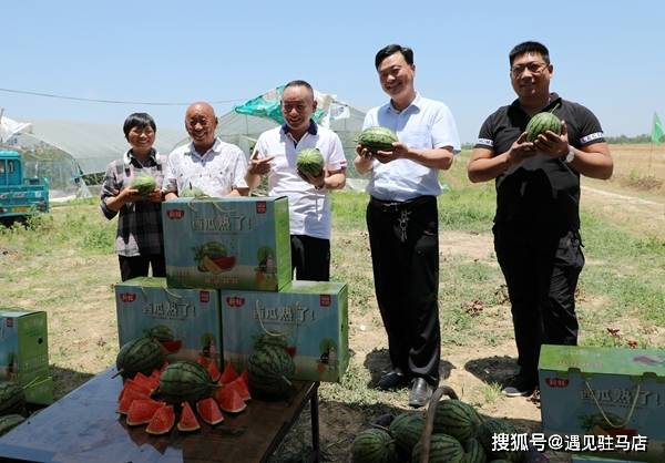 古战回族乡新项目，地方发展的强大推动力