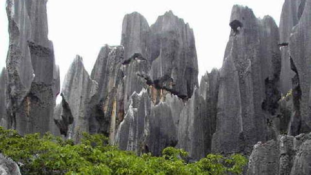 石林林场最新天气预报及其影响