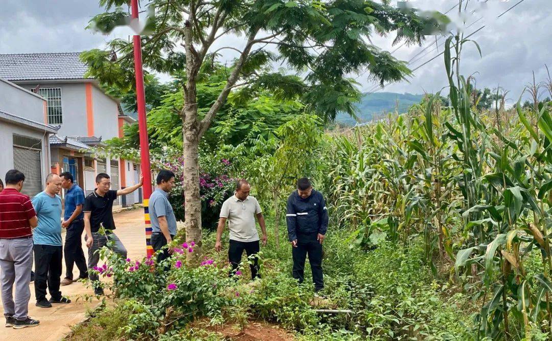 芒茂村最新新闻动态报道