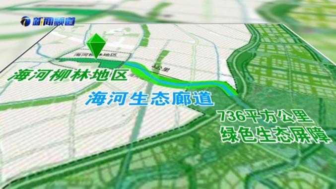 秦皇岛市园林管理局最新发展规划概览