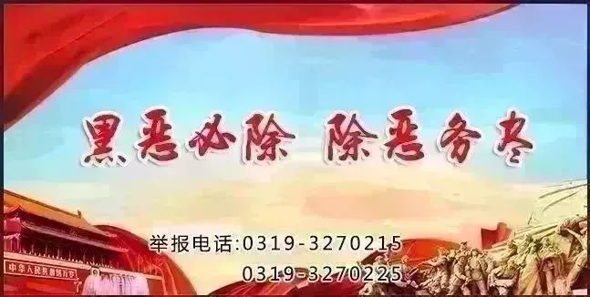 桥西区发展和改革局人事任命动态深度解析