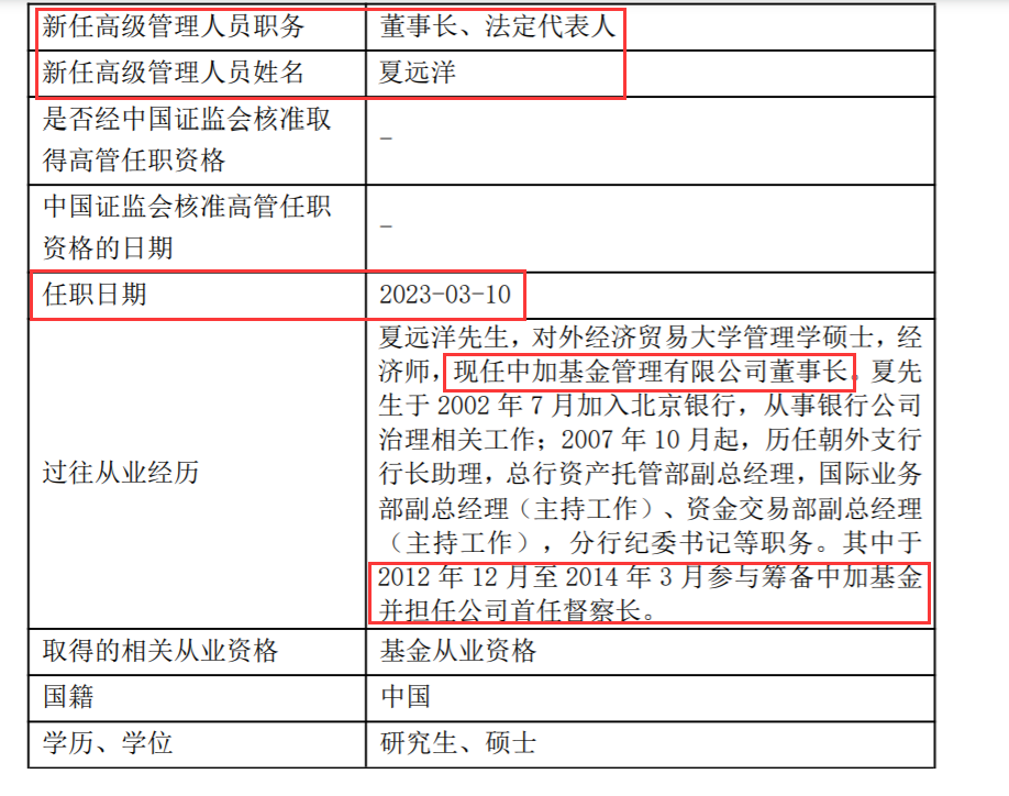 鲁掌村委会最新人事任命，推动乡村发展的新一轮力量