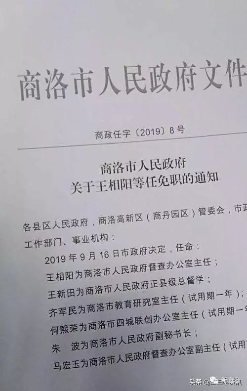 商洛市市侨务办公室最新人事任命，构建侨务工作的新篇章