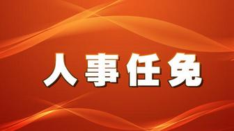 沈北新区人民政府办公室人事任命，构建未来坚实力量，推动区域发展