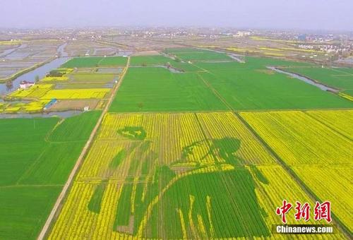 高淳县团结圩良种繁育场天气预报更新