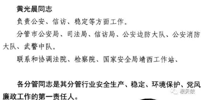 那坡镇最新人事任命动态深度解析