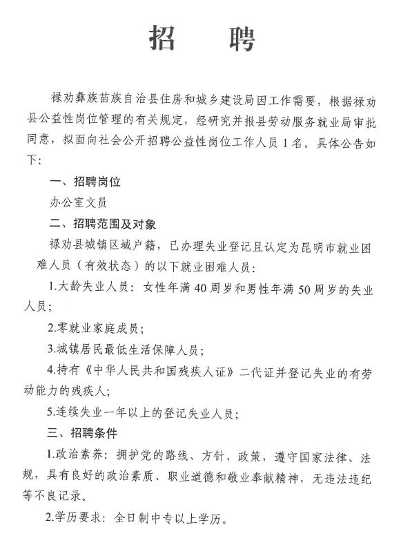 麻莲乡最新招聘信息全面解析