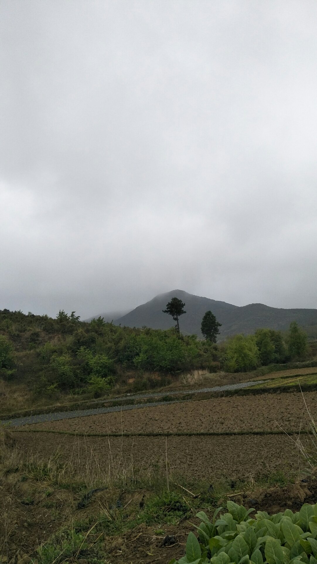 德堂村天气预报更新通知