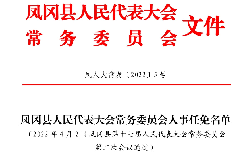 凤翔县人民政府办公室人事任命，开启新时代政府管理新篇章