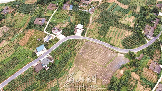 华藏寺镇最新项目，地区发展新动力引领前行