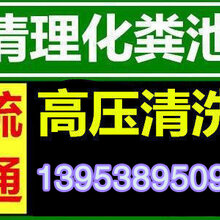 徐家楼街道最新招聘信息总览