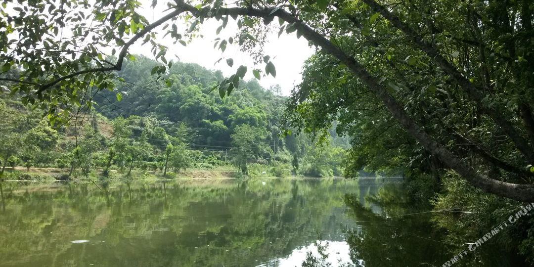 朝阳湖镇天气预报更新通知