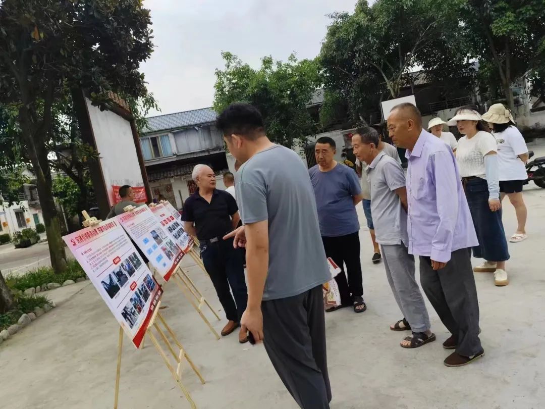 龙桑村乡村振兴新篇章，社区发展新动态报道